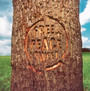 Free Peace Sweet - Dodgy
