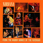From The Muddy Banks Of The Wishkah [Live] - Nirvana