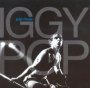Pop Music - Iggy Pop