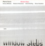 Window Steps - Pierre Favre