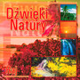 Dwiki Natury-Raj - Nature Sounds & Relax   