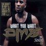 What You Want /feat. Sisqo - DMX
