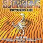 Pictured Life- Best Of - Scorpions
