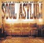Black Gold: Best Of Soul Asylum - Soul Asylum