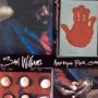 Amethyst Rock Star - Saul Williams