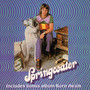 Springwater - Springwater
