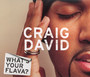 What's Your Flava? 1 - Craig David