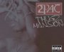 Thugz Mansion - 2PAC