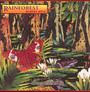 Rainforest - Robert Rich
