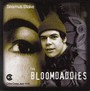 The Bloomdaddies - Seamus Blake
