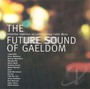 Future Sound Of Gaeldom - V/A