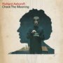 Check The Meaning - Richard Ashcroft