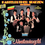 Musikantengold - Kastelruther Spatzen