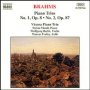 Brahms: Piano Trios Nos. 1 & 2 - J. Brahms