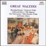 The Great Waltzes - V/A