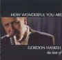 How Wonderful You Are-Best Of - Gordon Haskell