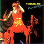 Rock'n Roll Gypsies - Joe Vinegar