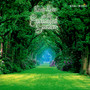 Enchanted Garden - Kevin Kern