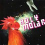 Whole Tooth & Nothing But Nothing - Holy Molar
