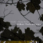 Other Valentines - Lonberg-Holm, Fred