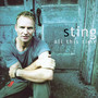 ...All This Time - Sting
