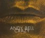 Crazy - Andy Bell
