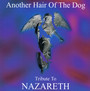 Another Hair Of The Dog - Tribute to Nazareth