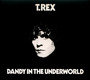 Dandy In The Underworld - T.Rex