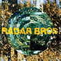 The Fallen Leaf Pages - Radar Bros