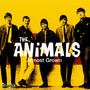 Almost Grown - The Animals