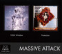 Protection/100TH Windows - Massive Attack