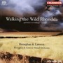 Walking The Wild Rhondda - Heneghan & Lawson