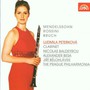 Clarinet Works - Mendelssohn / Rossini / Bruch