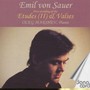 Etudes De Concert vol.2 - Emil Von Sauer 