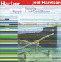 Harbor - Joel Harrison