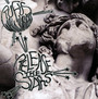 Release The Stars - Rufus Wainwright