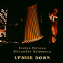 Upside Down - Evelyn Petrova