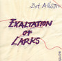 Exaltation Of Larks - Dot Allison
