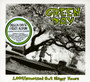 1039/Smoothed Out Slappy Hours - Green Day