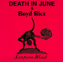 Scorpion Wind - Death In June