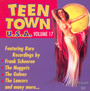 Teen Town USA vol.17 - Teen Town USA 