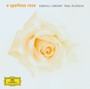 A Spotless Rose - Paul McCreesh / Gabrieli Consort Choir & Players