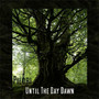 Until The Day Dawn - Pilori