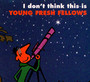I Don't Think This Is - Young Fresh Fellows