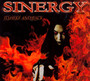 To Hell & Back - Sinergy