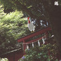13 Japanese Birds vol.10 - Merzbow