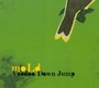 Voodoo Down Jump - Mold