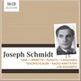 A Star Falls From Heaven -10CD Walletbox - Joseph Schmidt