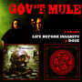 Dose/Life Before Insanity - Gov't Mule