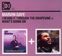 I Heard It Through The Grapevine/What's Going On - Marvin Gaye